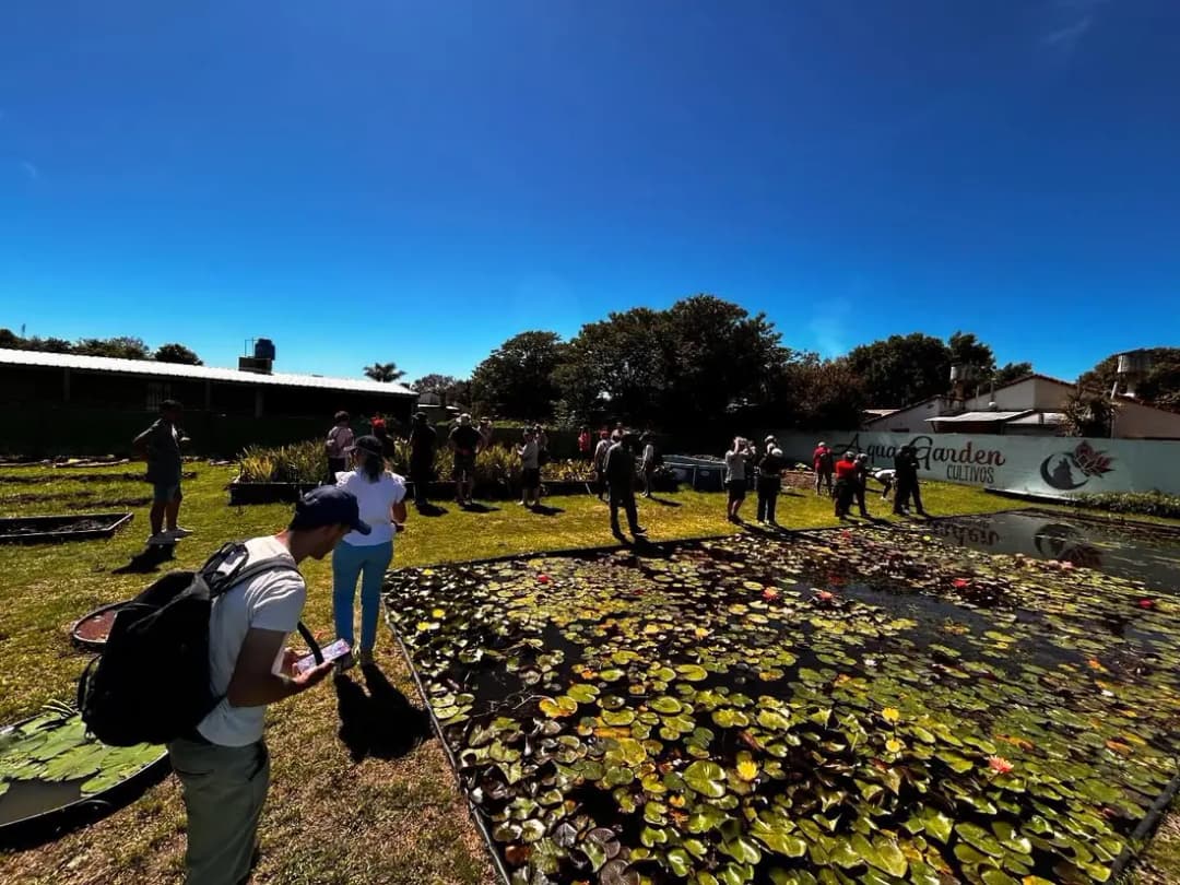 Grupo de visitantes recorriendo los estanques de Aqua Garden durante un taller